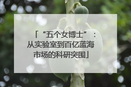 “五个女博士”：从实验室到百亿蓝海市场的科研突围